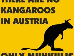 11 Australientrip